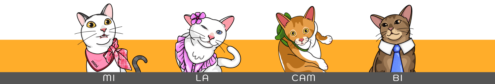Activity Banner